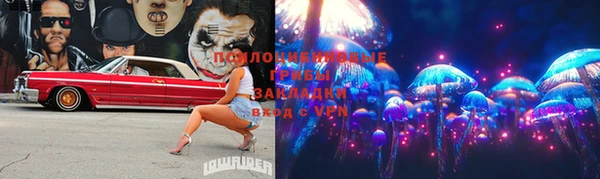 метадон Богданович