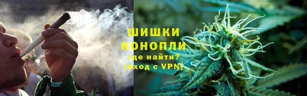 первитин Богородицк