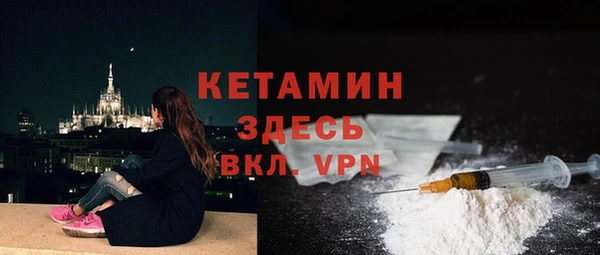 дживик Бронницы