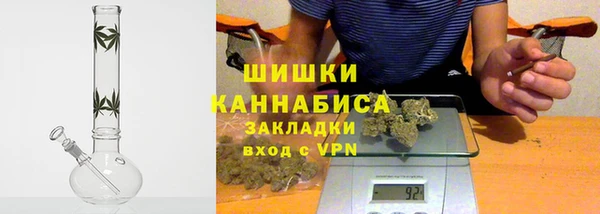 мдпв Бородино