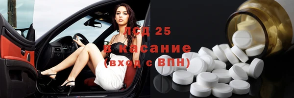 мдпв Бородино
