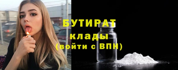 шишки Инта