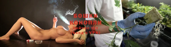 первитин Богородицк