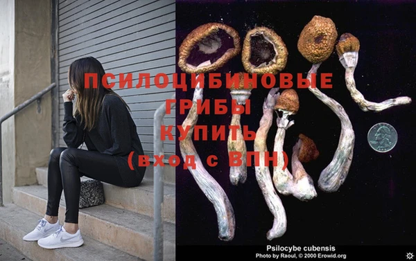 дживик Бронницы