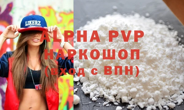 мдпв Бородино