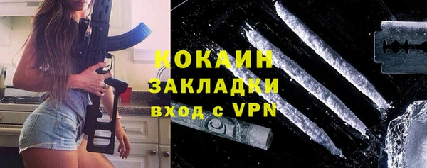 метадон Богданович