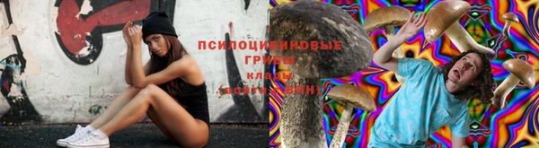 метадон Богданович