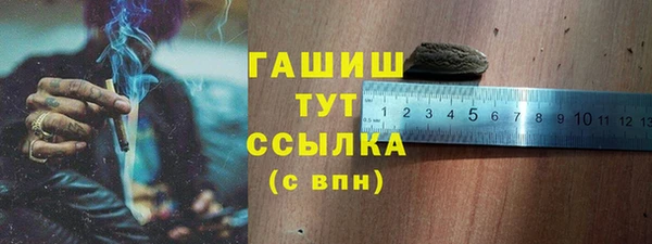 метадон Богданович